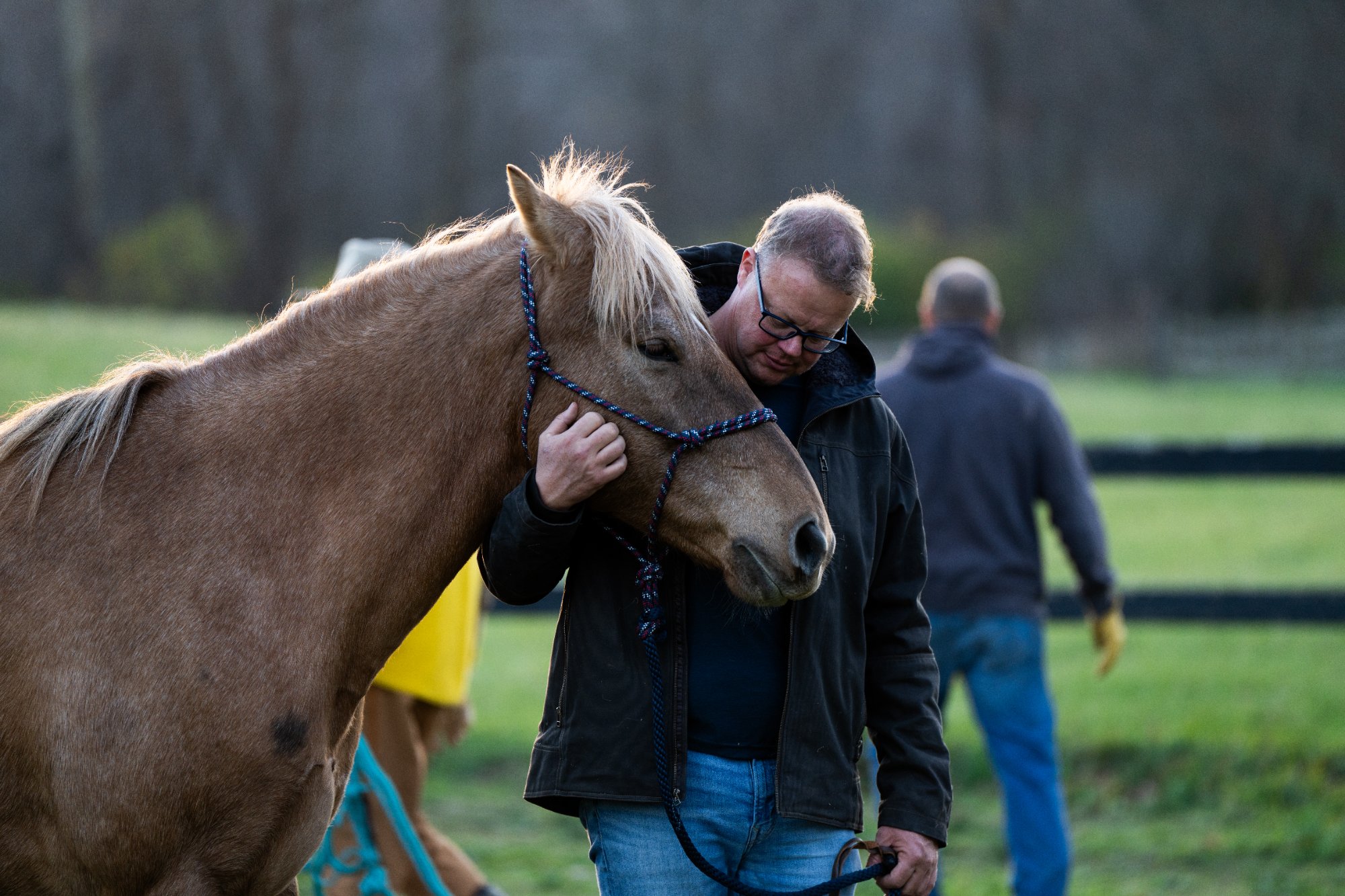 Human and horse connection